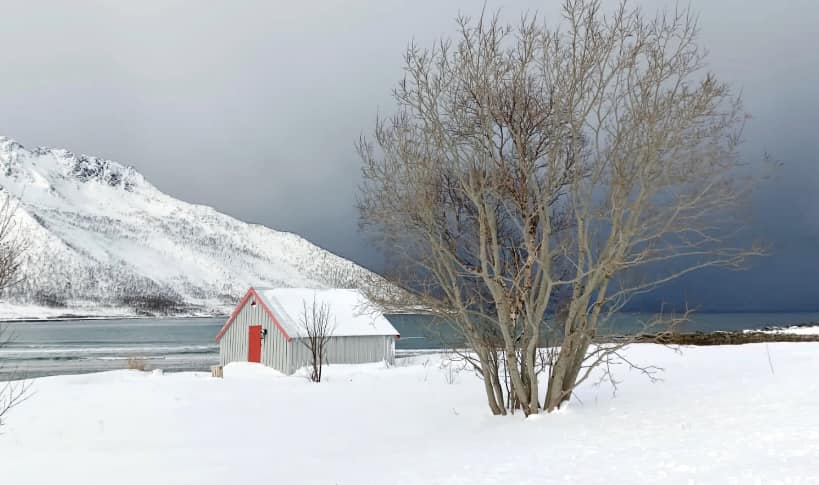 Fljord enneigé, Norvège