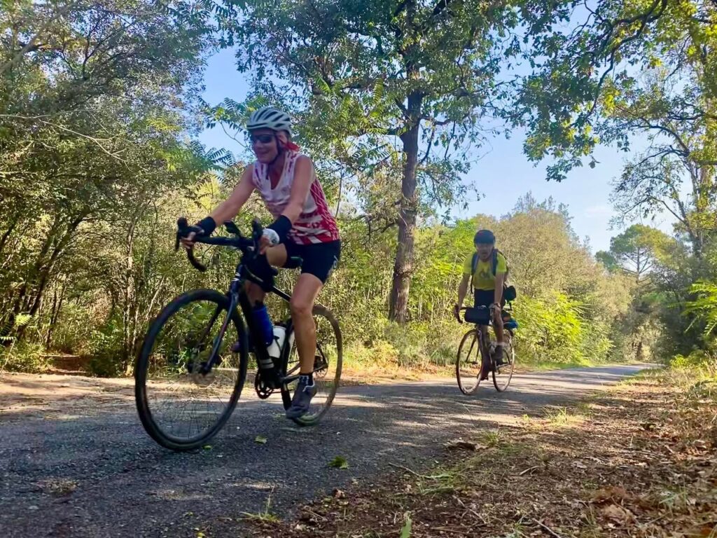 Forêt de La Palmyre