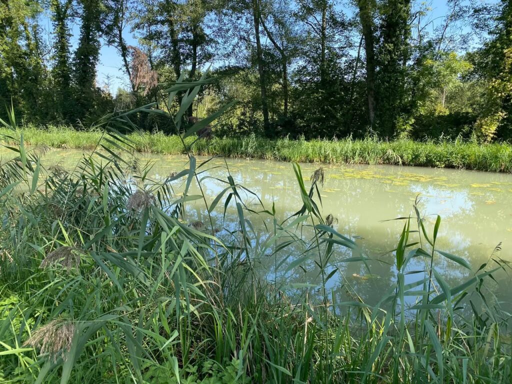 Canal de Haute-Seine