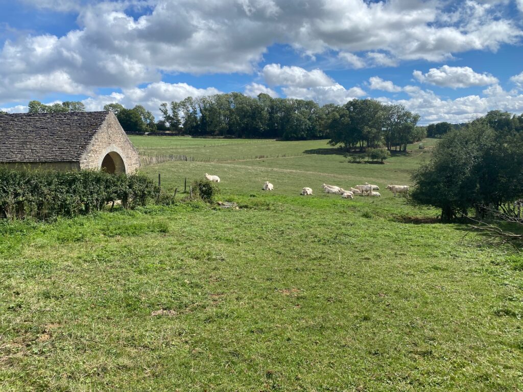 Saint-Martin-du-Mont