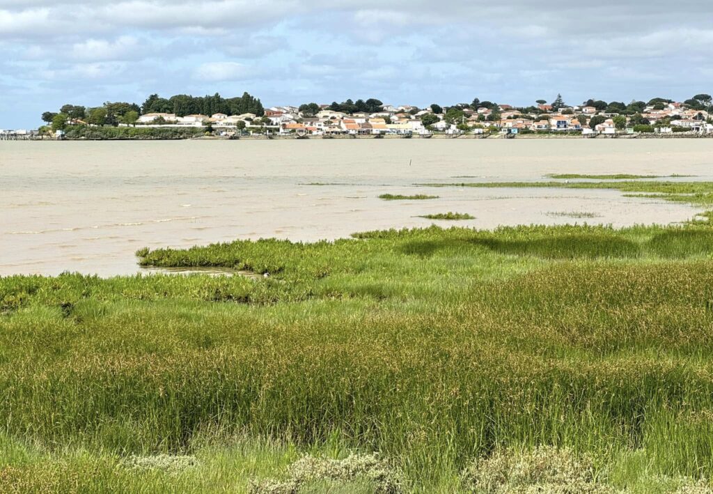 Estuaire de la Gironde