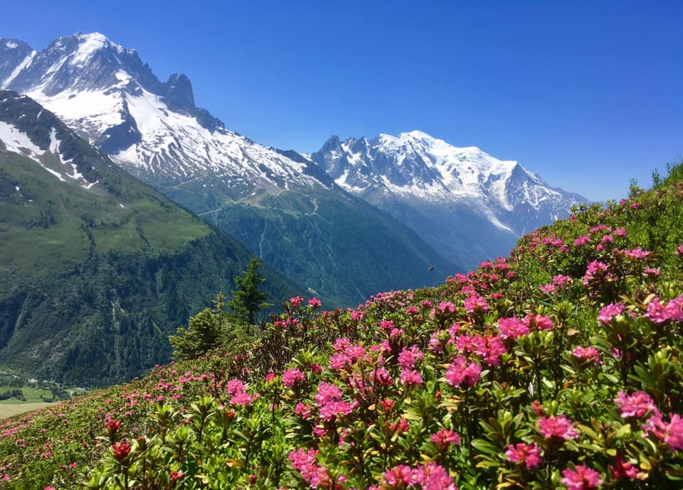 Tour du Mont-Blanc
