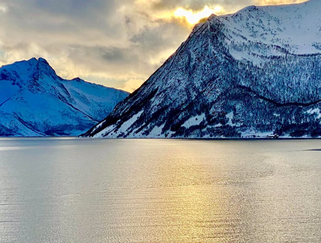 Fjord Norvège
