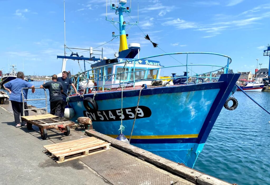 Le port du Guilvinec