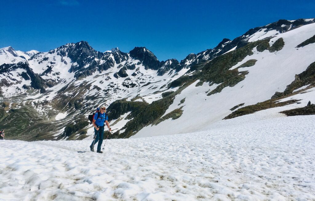 Vache sur le Tour du Mont-Blanc