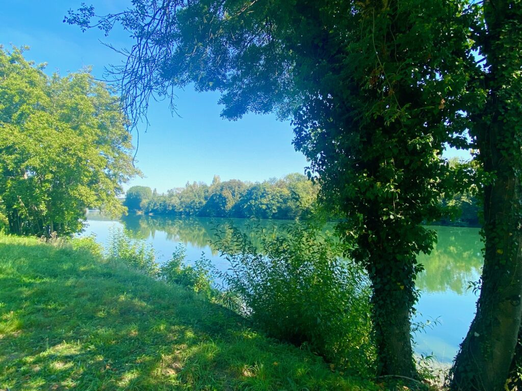 Bord de Seine à Samois