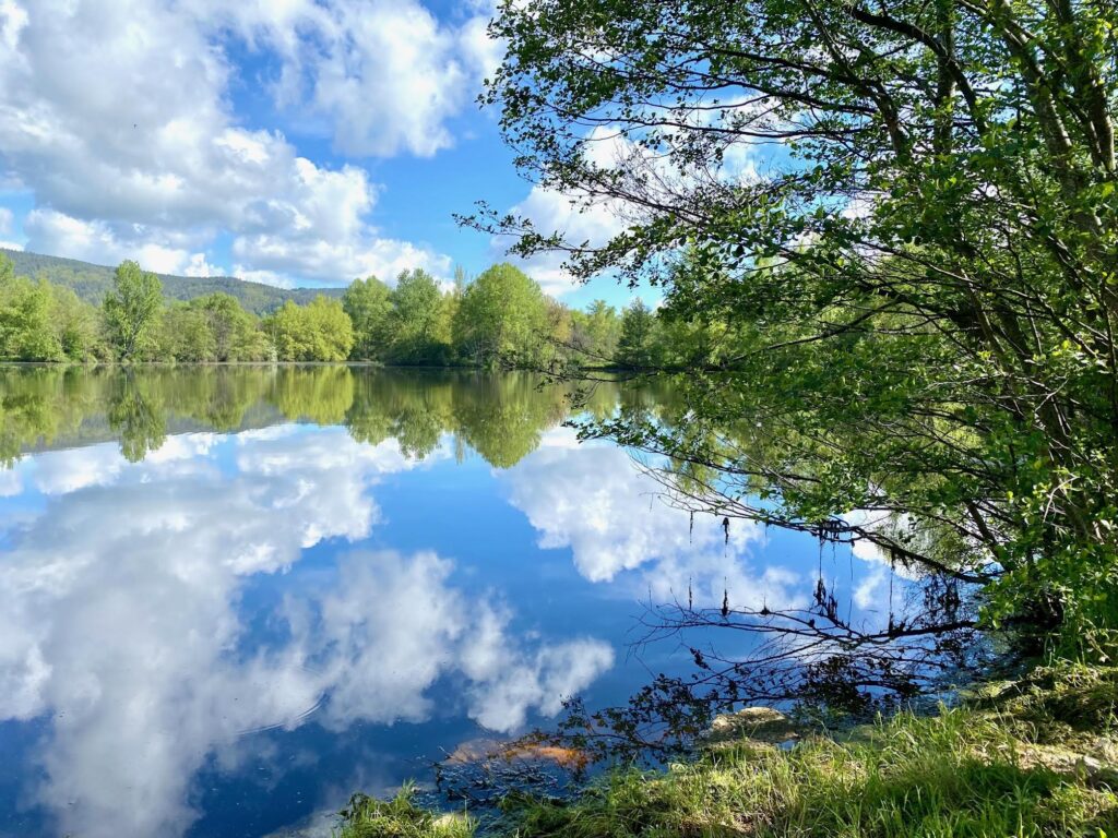 Étangs de Bas-en-Basset