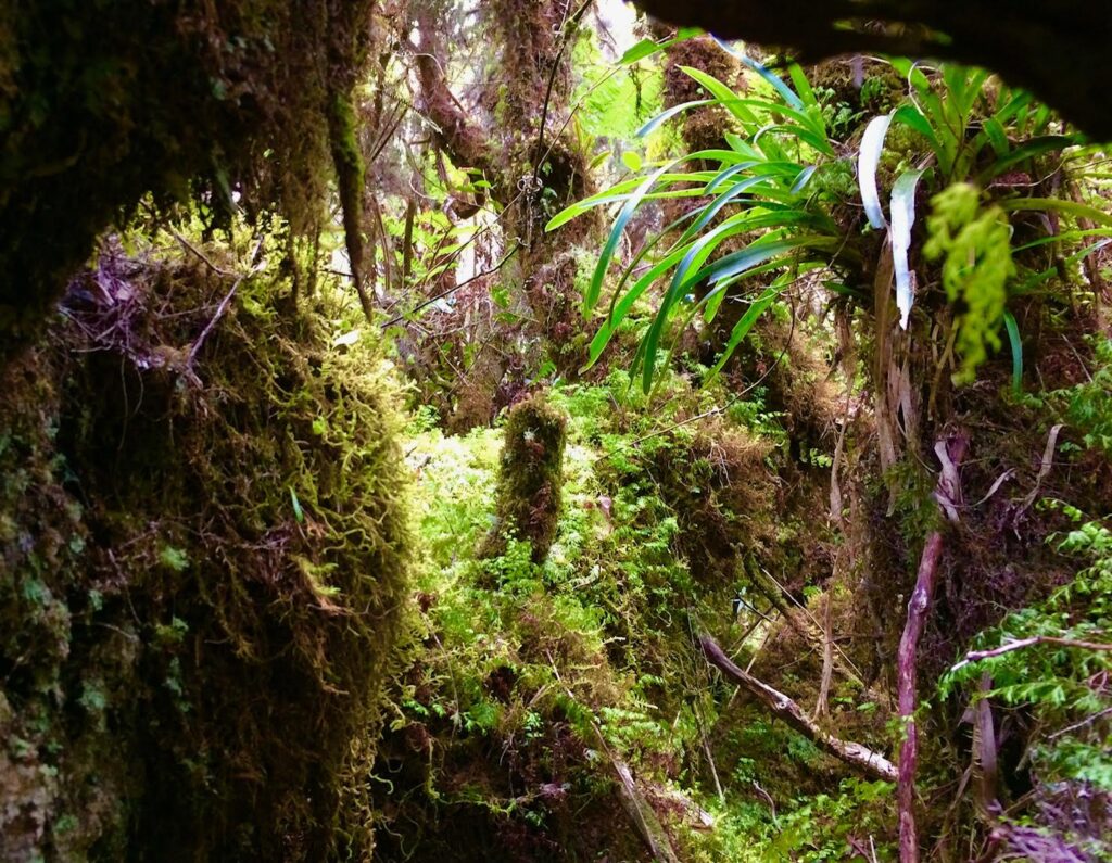 Traversée de La Réunion