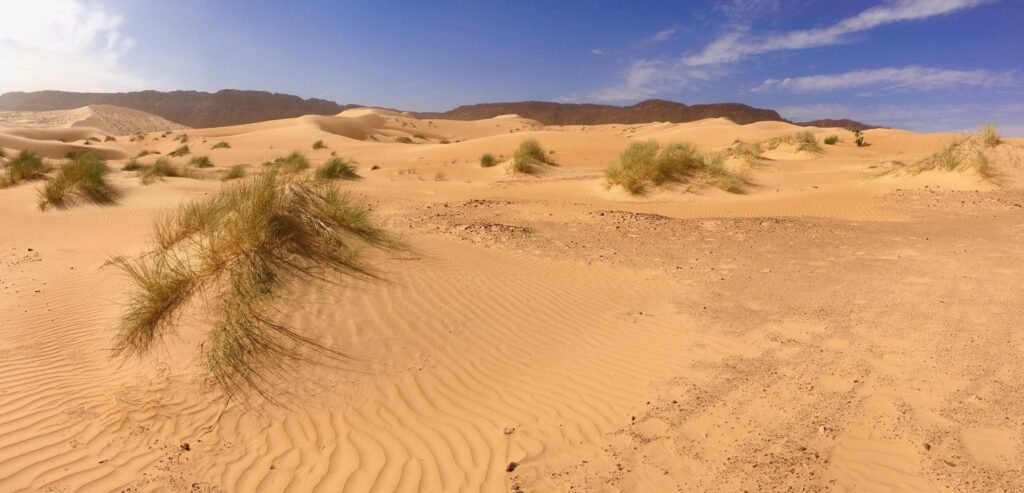 Désert Mauritanie