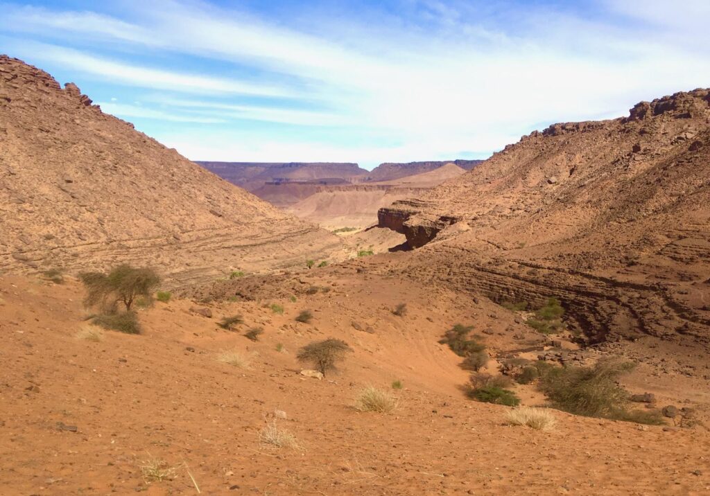 Désert mauritanien