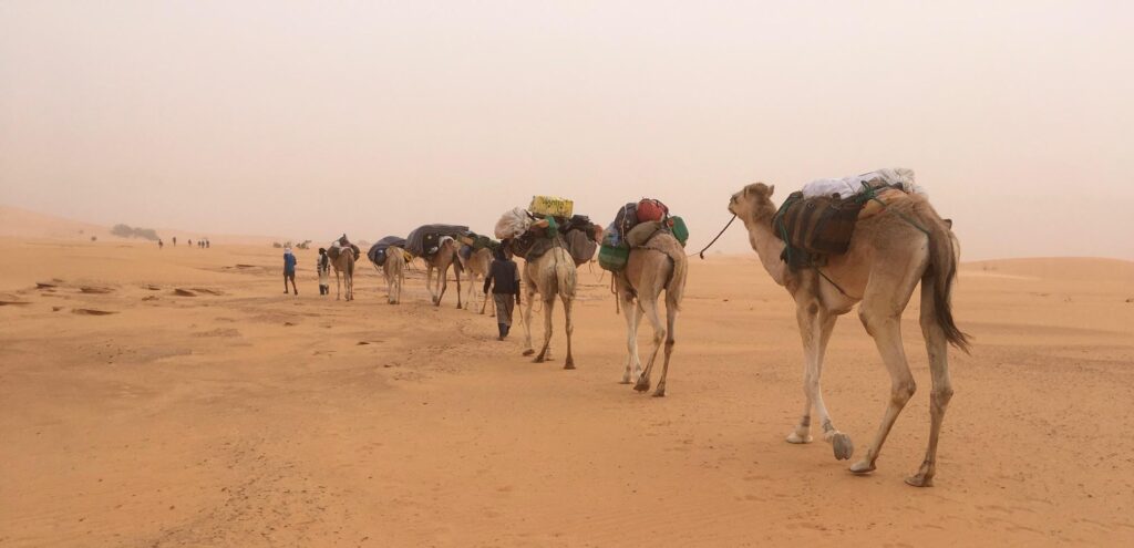 Caravane dans le désert de Mauritanie