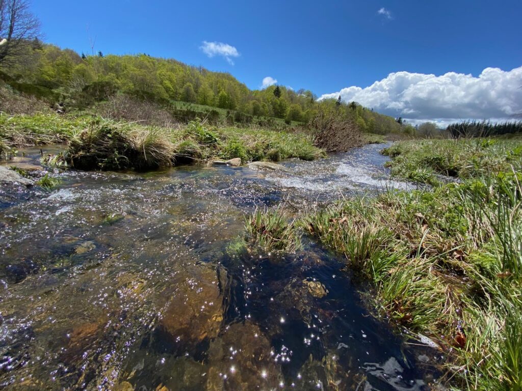 La Loire en Ardèche