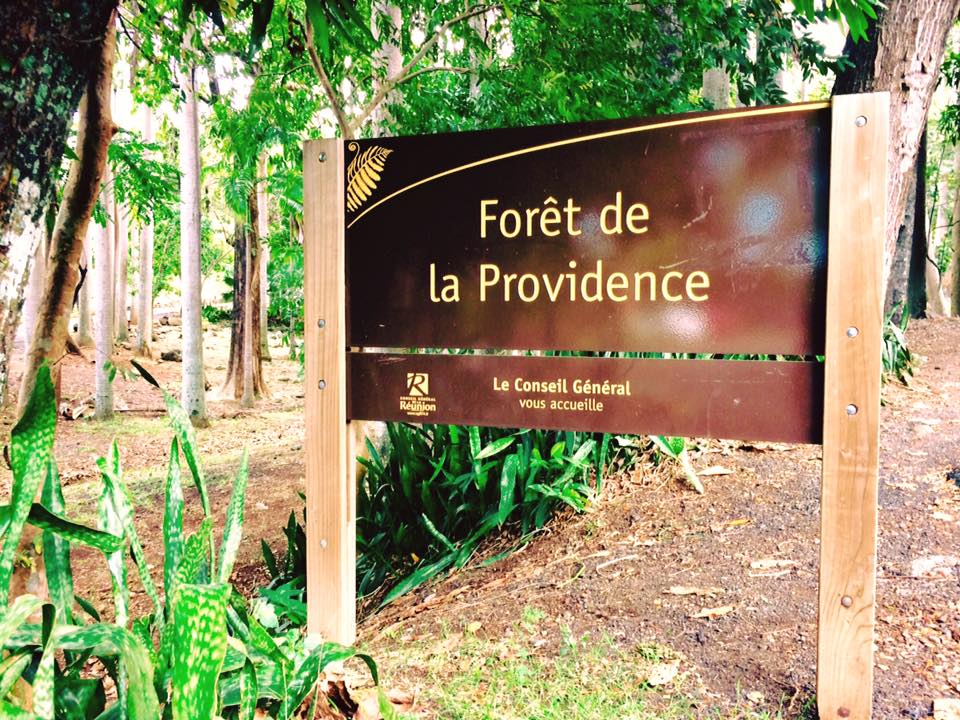 Forêt de La Providence