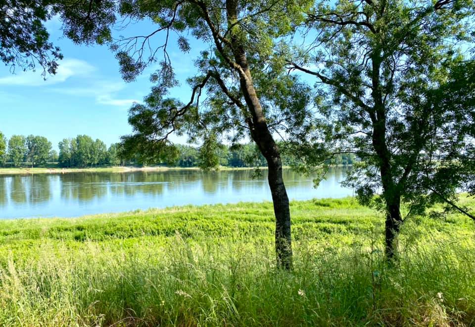 La promenade Julien-Gracq à St Florent-le-Vieil