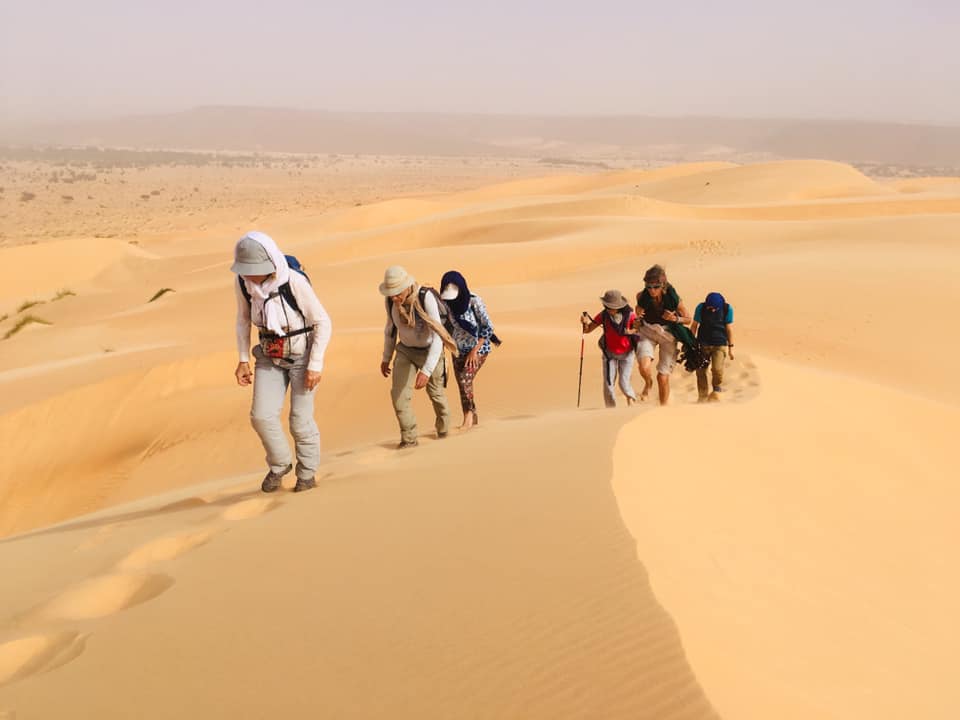 Marcheurs dans le désert mauritanien
