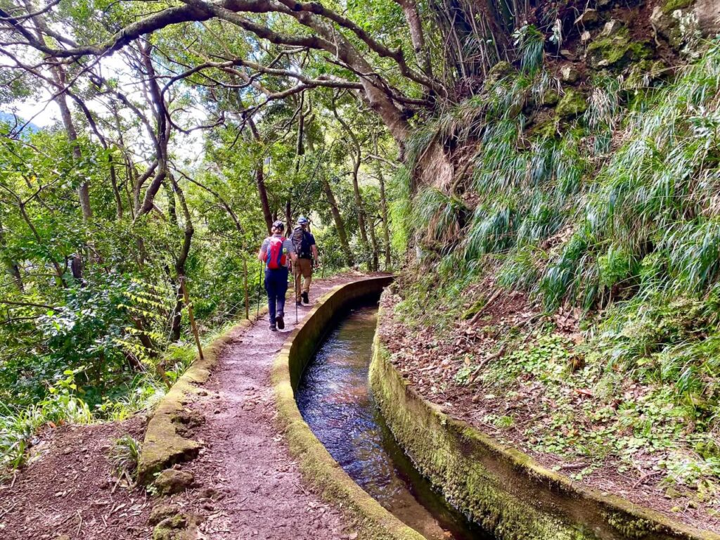 Levada à Madère
