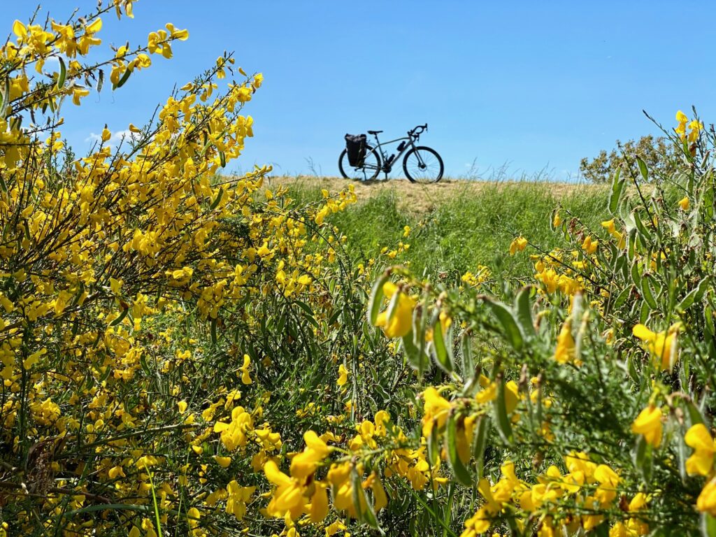 Sur la levée de la Loire