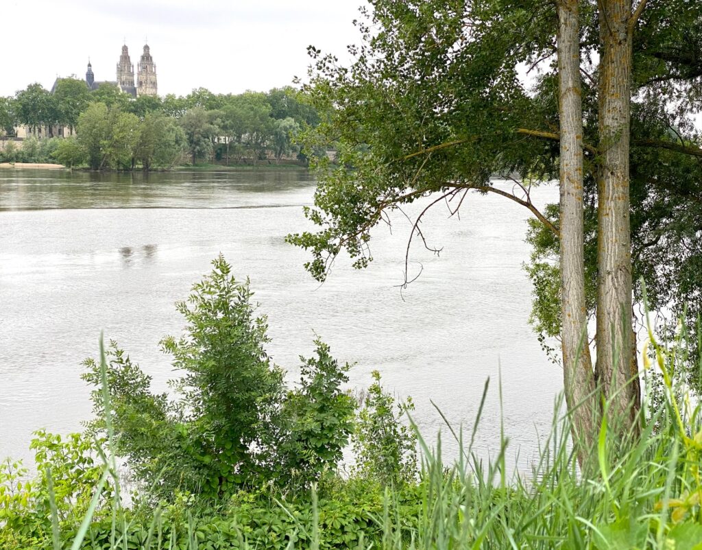 Les tours de la cathédrale Saint-Gatien