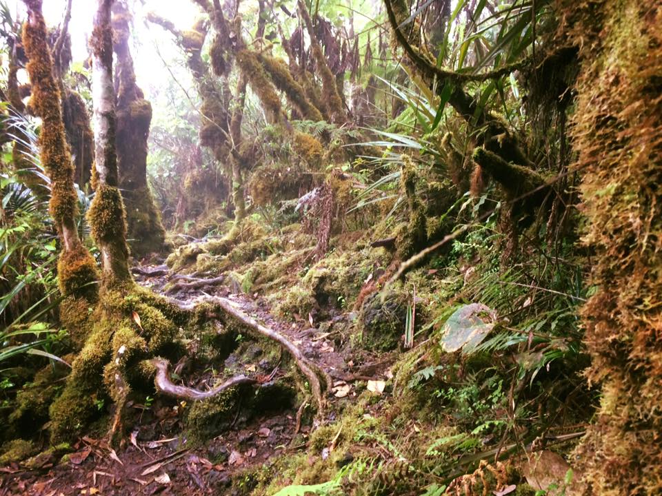 Traversée de La Réunion