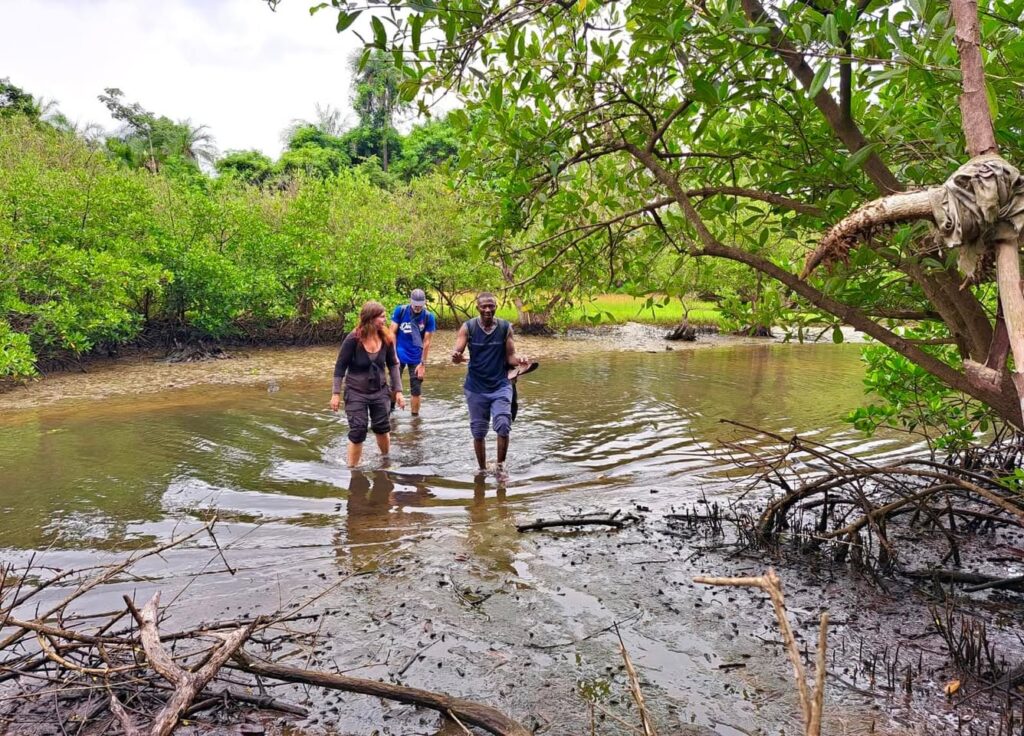 Randonnée en Casamance