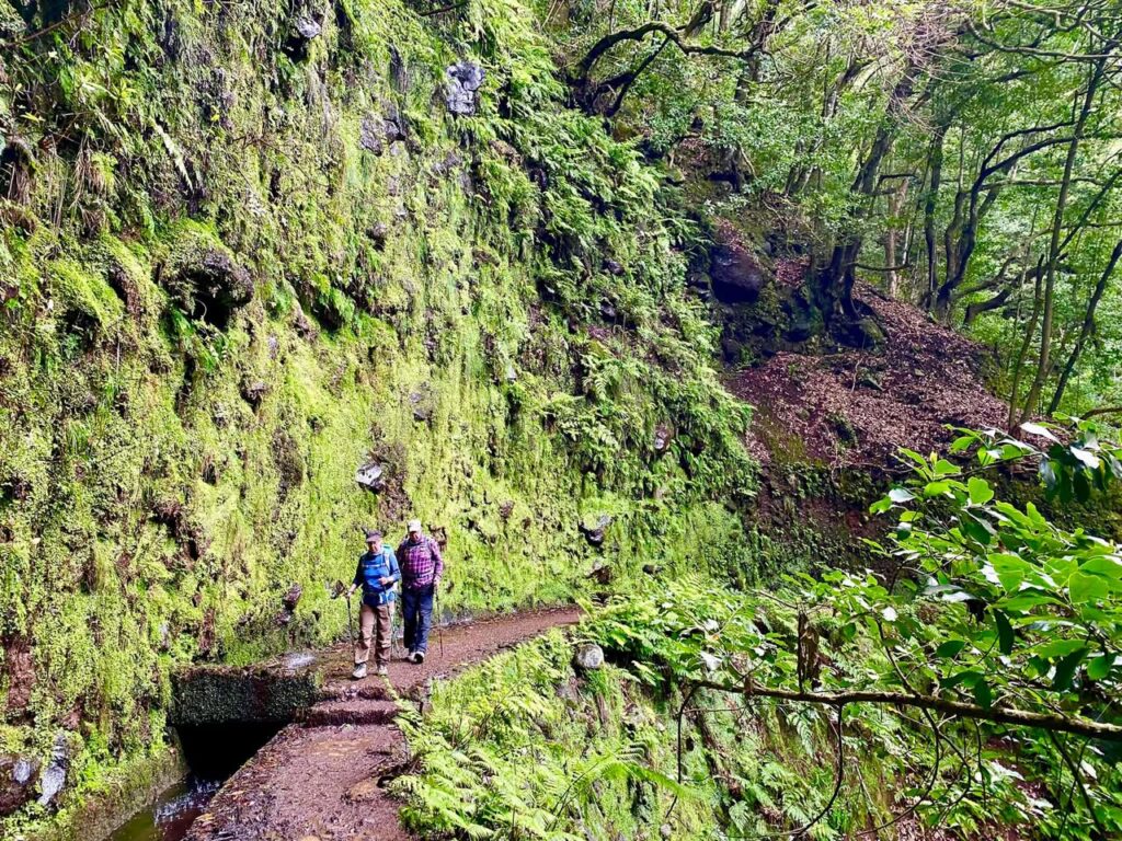 Levada à Madère