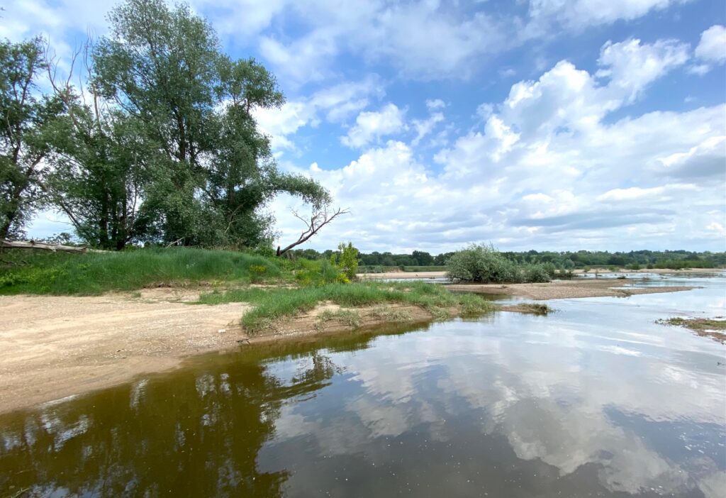 La Loire à Bréhémont