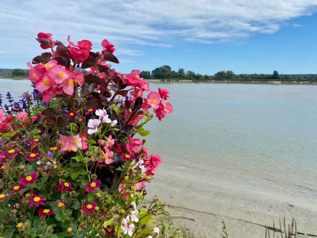 La Seine à Villequier