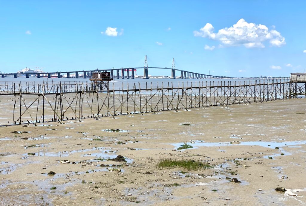 La Loire à marée basse à Saint-Nazaire