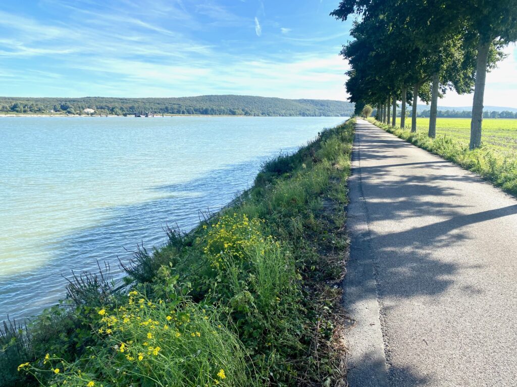 La Seine canalisée à la sortie de Villequier