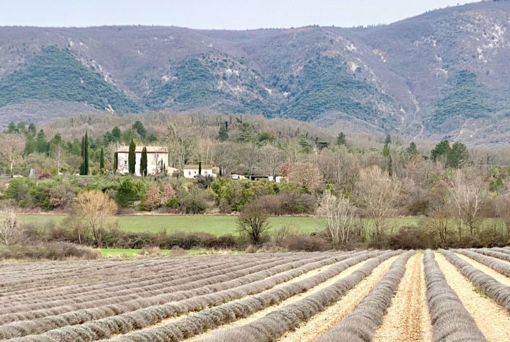 St Martin de Castillon