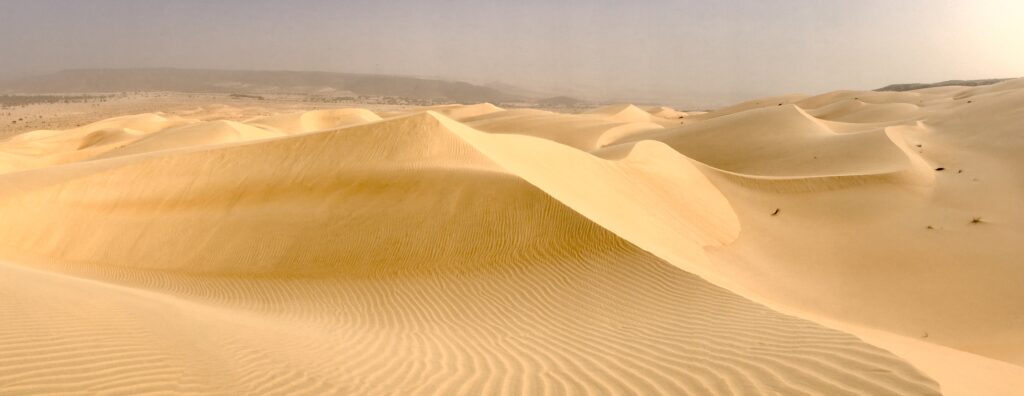 Désert mauritanien