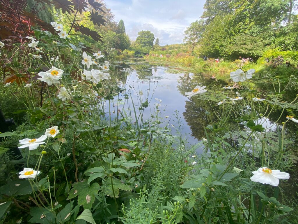 Fleurs à Giverny