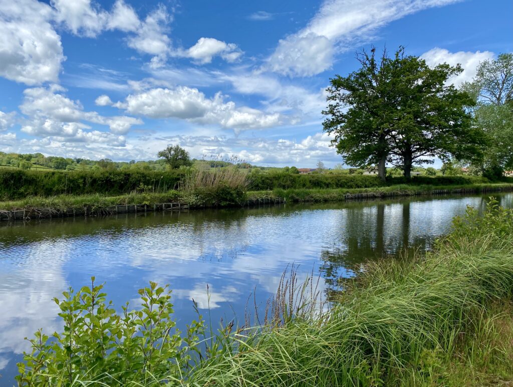 La Loire à vélo à Roanne