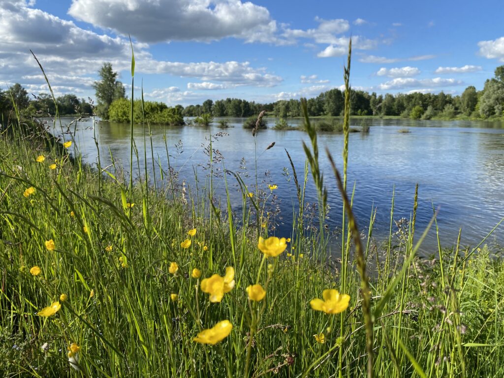 Châtillon-sur-Loire