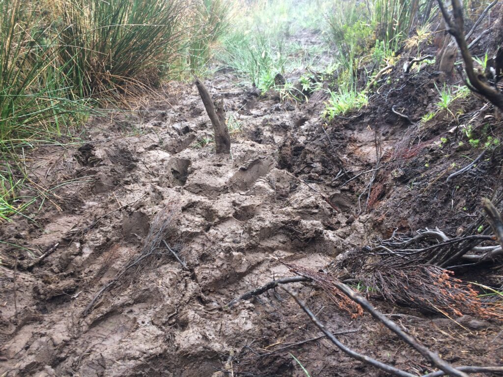 Traversée de La Réunion