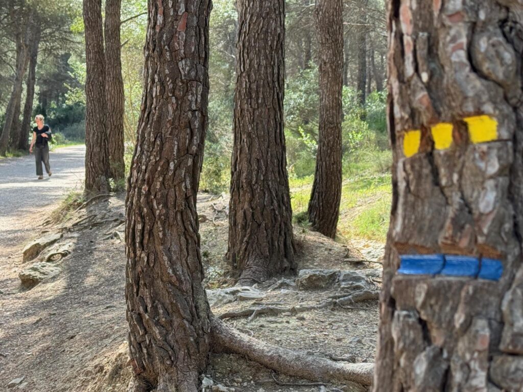 Randonnée Cap Morgiou, Marseille