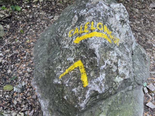 Randonnée sommet de Marseilleveyre