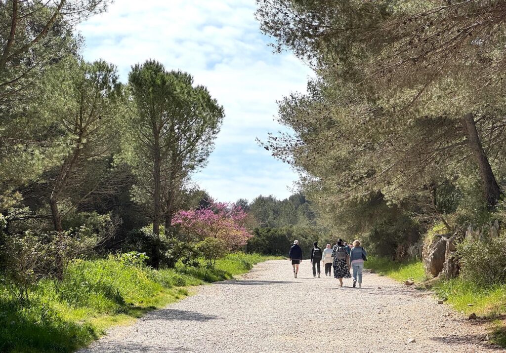 Randonnée Cap Morgiou, Marseille