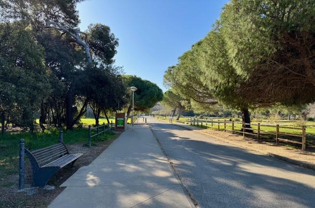 Parc Campagne Pastré Marseille 8ème