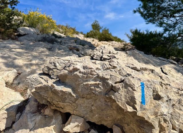 Randonnée Cap Morgiou, Marseille