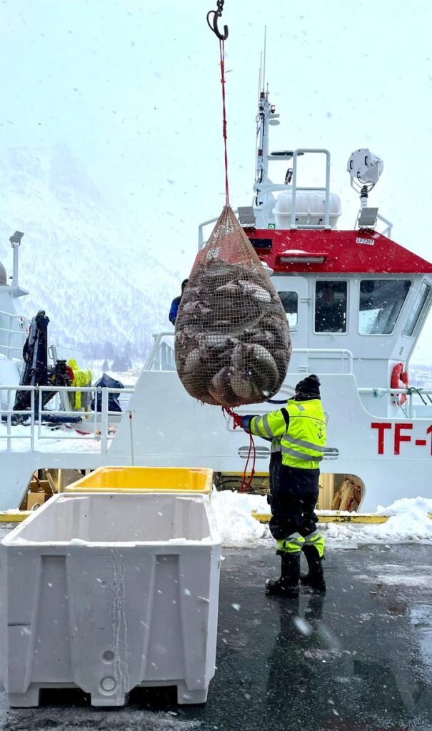 Île de Senja, Norvège
