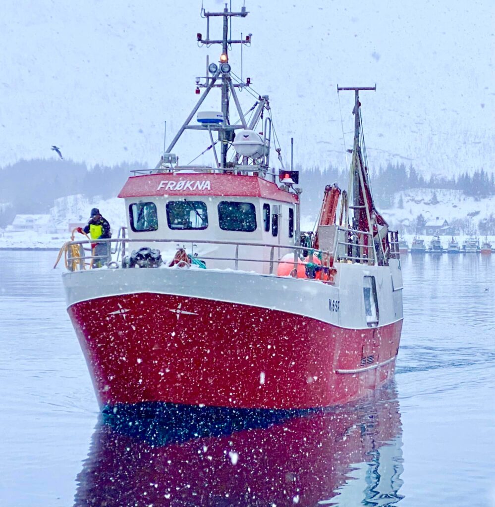 Île de Senja, Norvège
