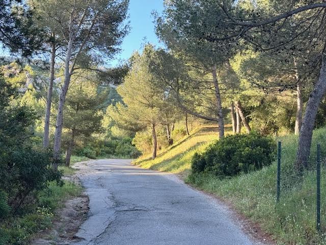 Route d'accès au col de Sormiou