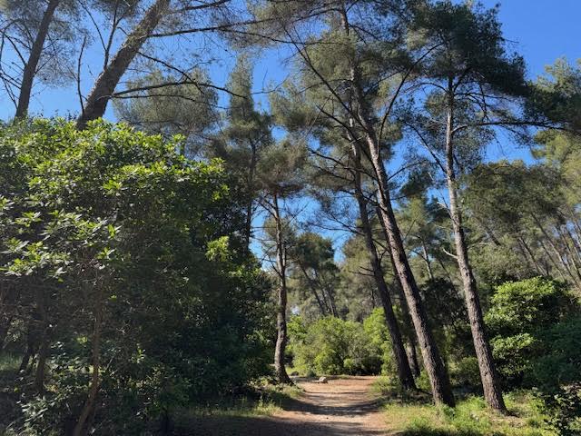 Dans le parc Pastré