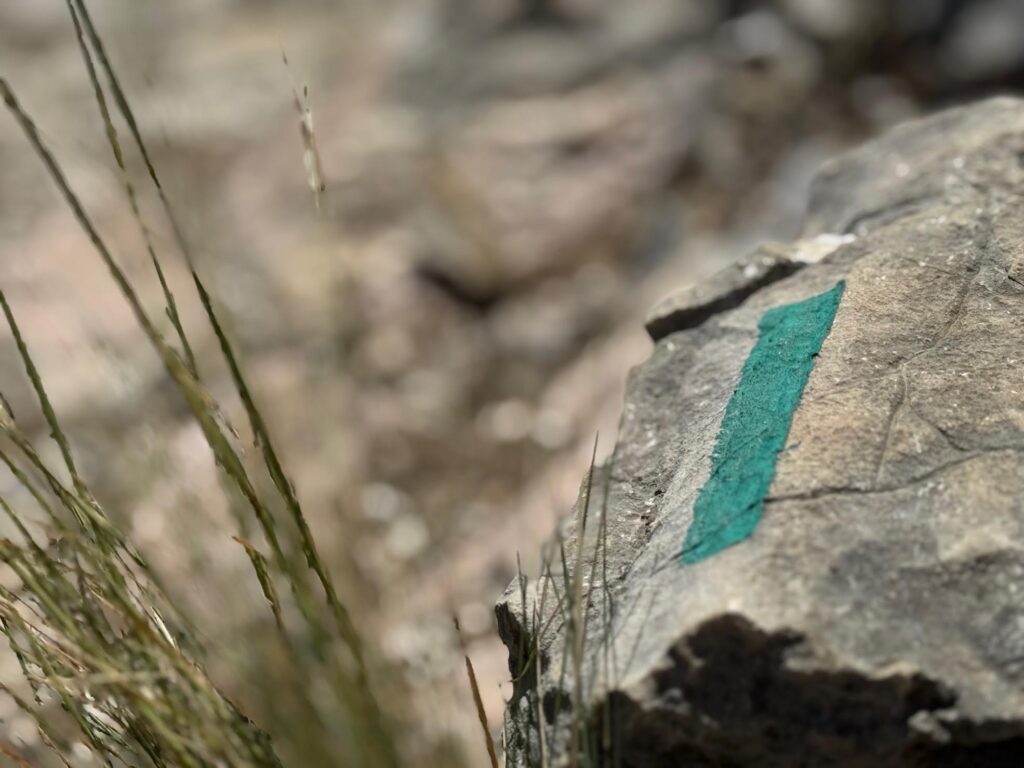 Randonnée calanque de l'Escu