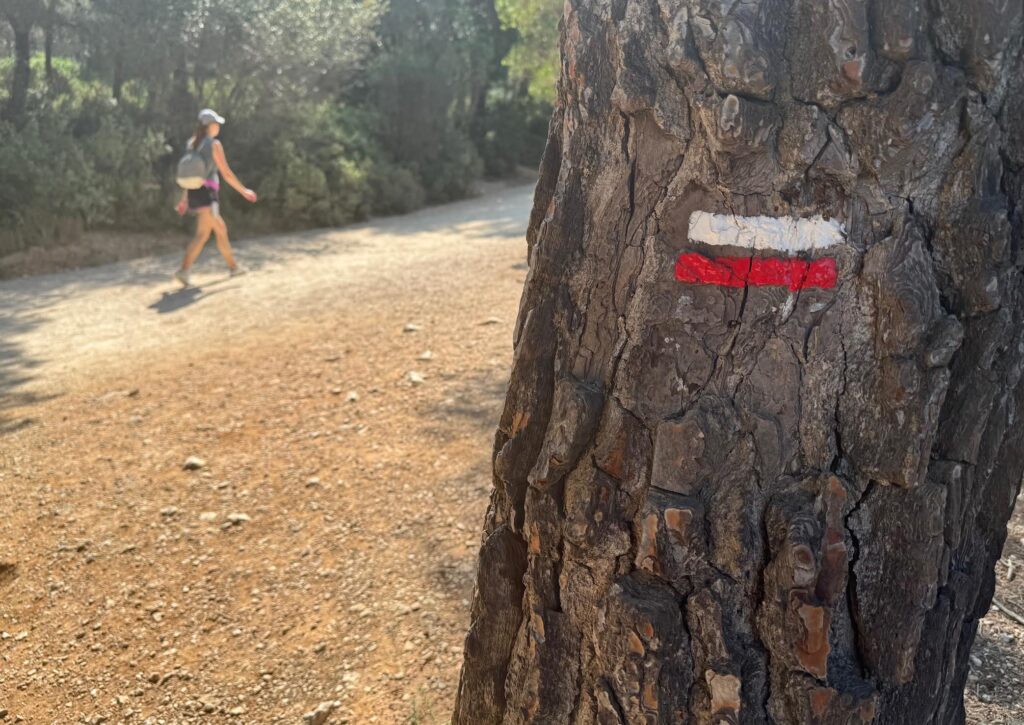 Traversée des calanques de Marseille à Cassis