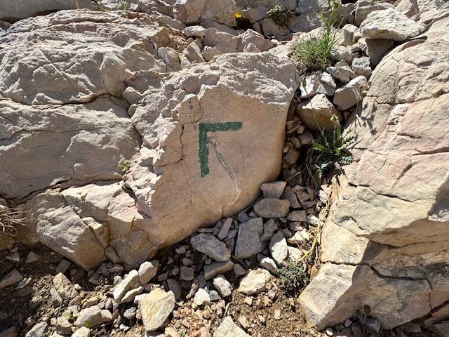 Randonnée calanque de l'Escu