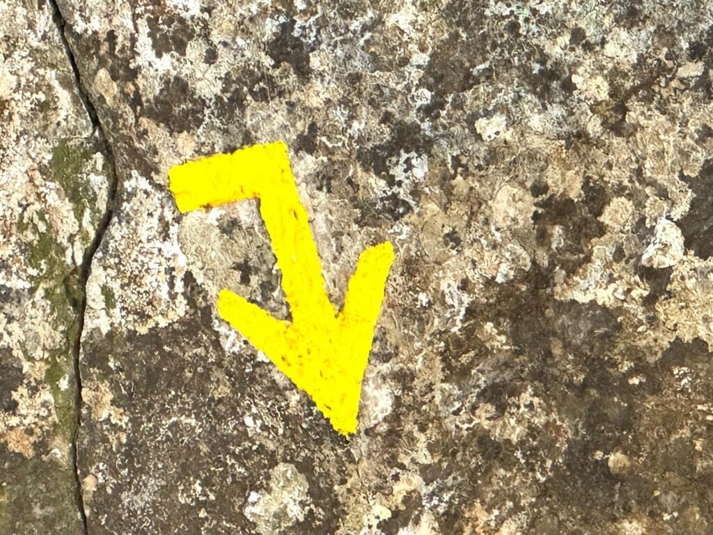 Randonnée calanque de l'Escu