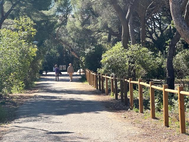 Dans le parc Pastré