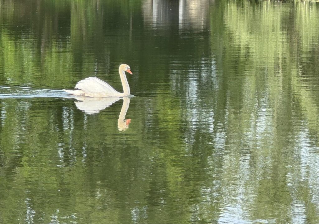 Sur le canal de Bourgogne